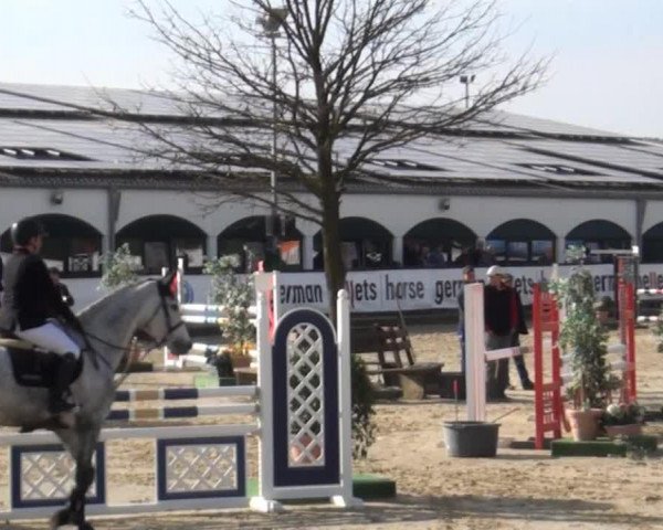 dressage horse Julio (unknown, 2009)