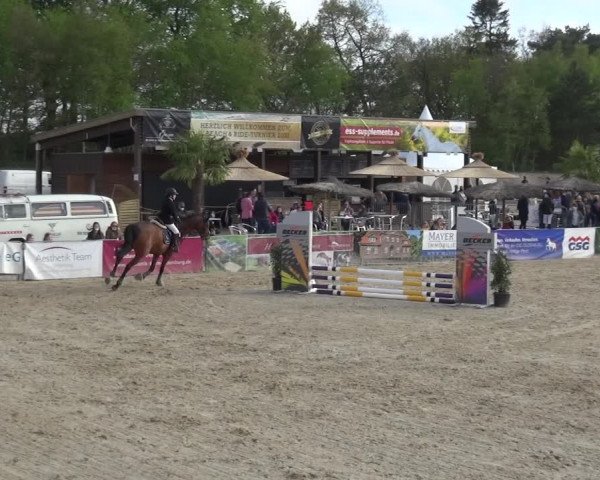 Reitturnier Rastede-Nethen 2021