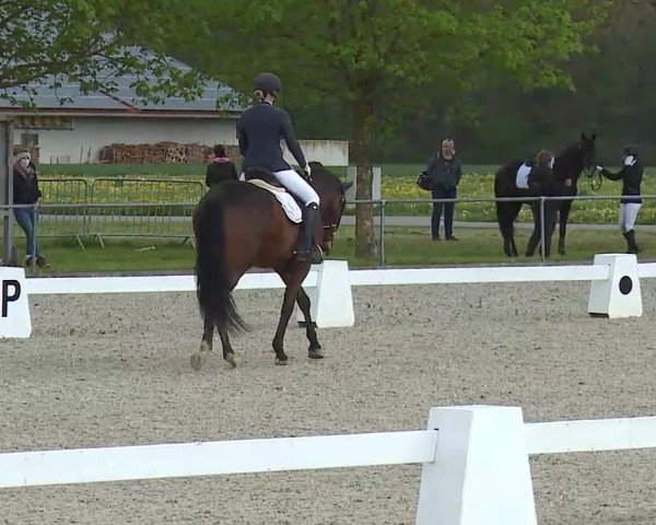 Reitturnier Rot am See- Musdorf 2021