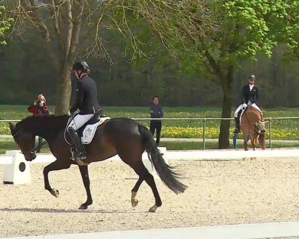 Reitturnier Rot am See- Musdorf 2021