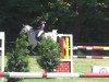 jumper Bolero S (Oldenburg show jumper, 2004, from Baldini I)