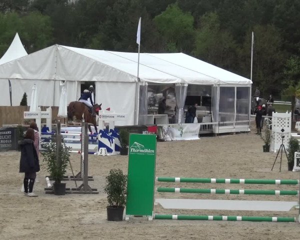 Reitturnier Rastede-Nethen 2021