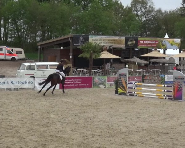Reitturnier Rastede-Nethen 2021