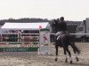 jumper Lysanto 5 (Hanoverian, 2006, from Langer Jan)