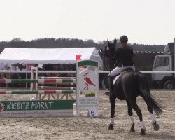 jumper Lysanto 5 (Hanoverian, 2006, from Langer Jan)