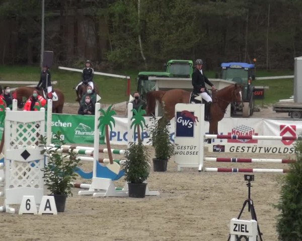 Reitturnier Rastede-Nethen 2021