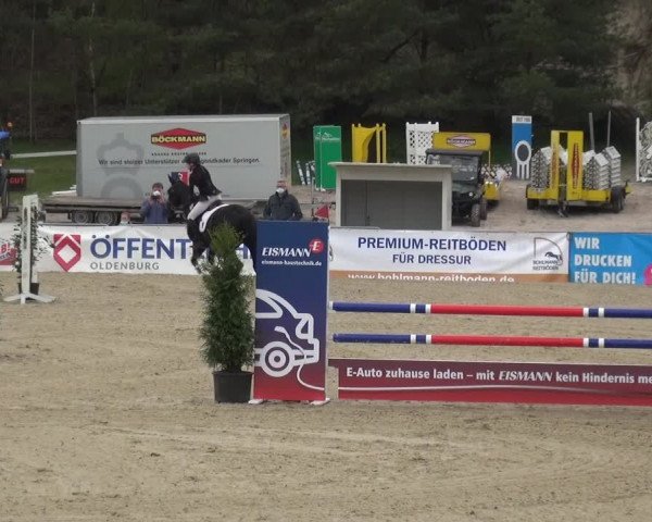 Reitturnier Rastede-Nethen 2021