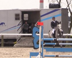 jumper Big Charly 2 (Hanoverian, 2008, from Charilan)