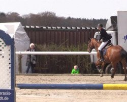 broodmare Lamanga (Hanoverian, 2008, from Ludwig von Bayern 168 FIN)