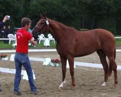 broodmare Stute von Florestan I (Westphalian, 2011, from Florestan I)