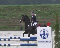 Springpferd Una Roza (KWPN (Niederländisches Warmblut), 2001, von Numero Uno)