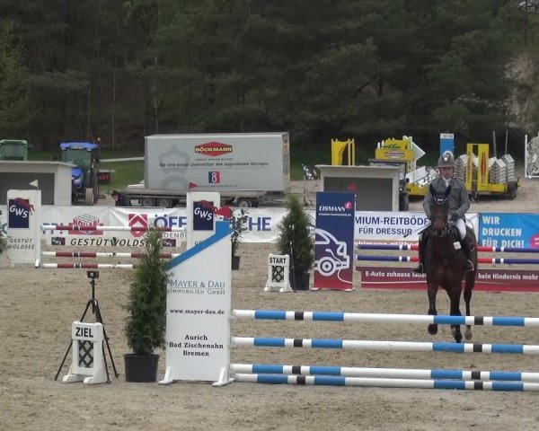 Reitturnier Rastede-Nethen 2021