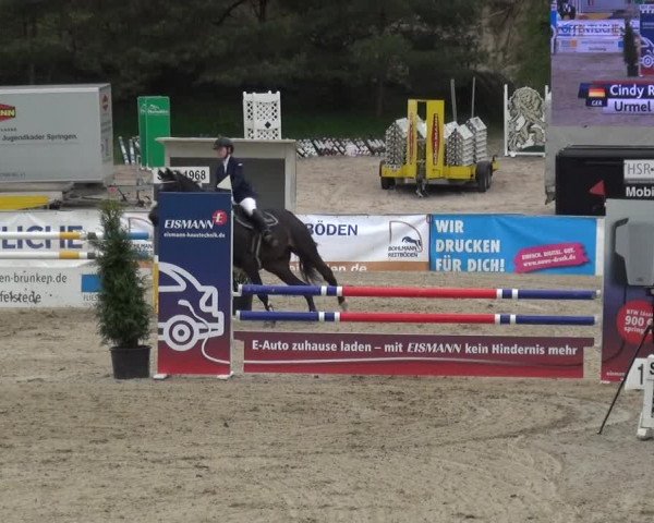 Reitturnier Rastede-Nethen 2021