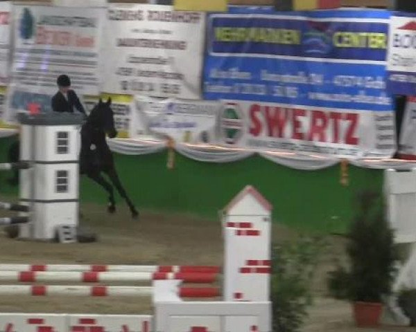 jumper Laszlo 71 (Rhinelander, 2002, from Louis le Bon)