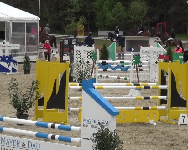 Reitturnier Rastede-Nethen 2021