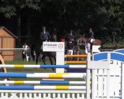 jumper Saimen (Hanoverian, 2006, from Stolzenberg)