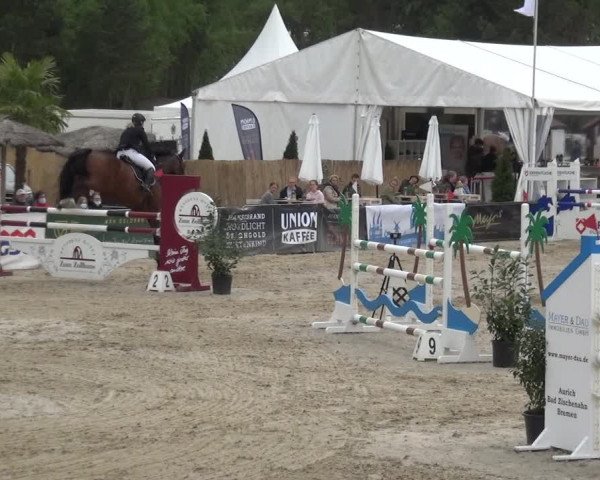 Reitturnier Rastede-Nethen 2021