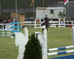 jumper Lucina P (KWPN (Royal Dutch Sporthorse), 2002, from Flemmingh)