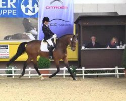 dressage horse Gramado (Westphalian, 2004, from Gino Ginelli)