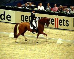 dressage horse Wakana (Sachse, 2000, from Wolkentanz II)