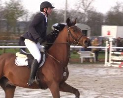 jumper Lago di Garda (Hanoverian, 2010, from Lord Pezi)