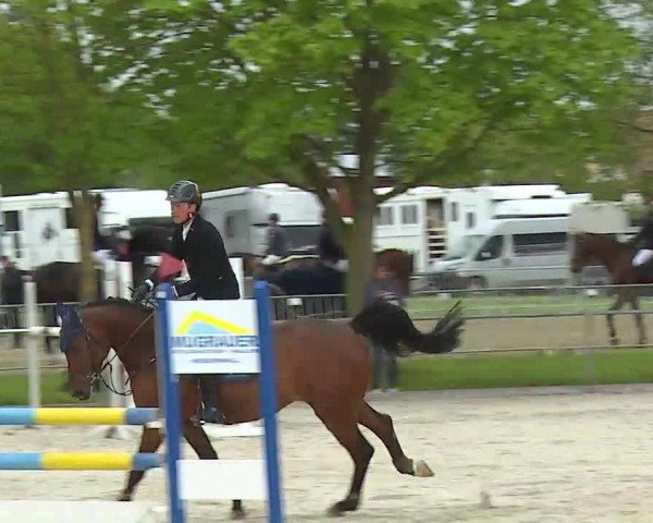 Reitturnier Rot am See- Musdorf 2021