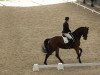 dressage horse Ricco de Larisso D (Rhinelander, 2006, from Riccio)