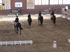 dressage horse Harmonie LI (Trakehner, 2001, from Münchhausen)