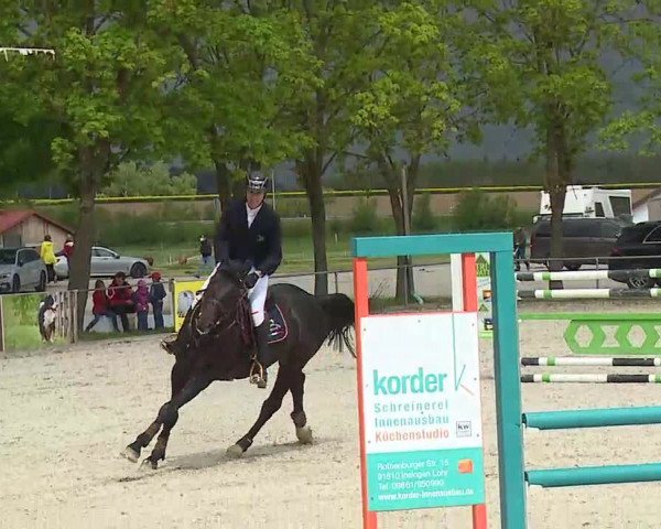 Reitturnier Rot am See- Musdorf 2021