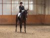 dressage horse Felicita E (Westphalian, 2003, from Faveur)