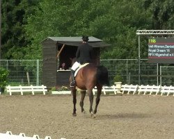 dressage horse Royal Dream 15 (Rheinländer, 2002, from Bmc Roman Nature)