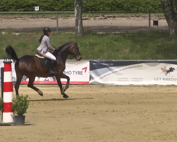 Reitturnier Kurtscheid 2021