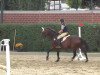 dressage horse Devita (Hessian Warmblood, 2001, from Danny de Vito 2)