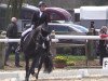 dressage horse Baquera (unknown, 2002)