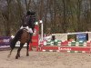 jumper Ready to Fly 14 (Hanoverian, 2009, from Rabino)