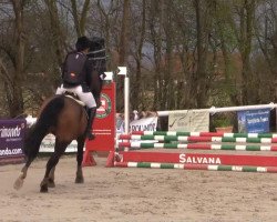 jumper Ready to Fly 14 (Hanoverian, 2009, from Rabino)