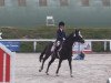 broodmare First Game P (German Riding Pony, 2002, from Donauwind)