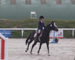 Zuchtstute First Game P (Deutsches Reitpony, 2002, von Donauwind)