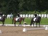 dressage horse Fürst Fidermark (Rhinelander, 2005, from Fuchsberger)