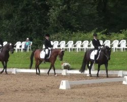 dressage horse Fürst Fidermark (Rhinelander, 2005, from Fuchsberger)