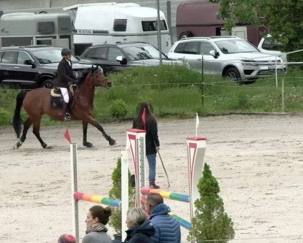 Reitturnier Basel Schänzli 2021