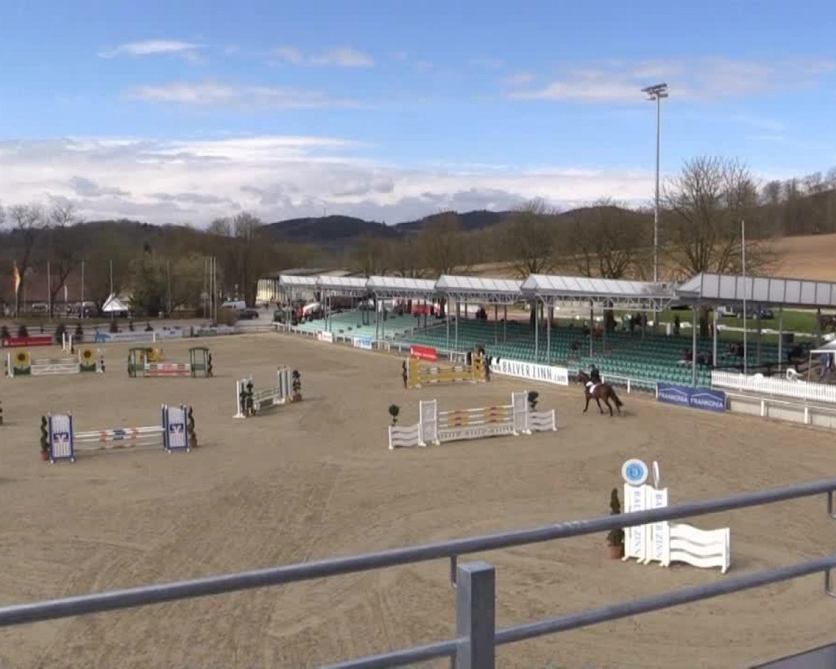 Pferd Lamont 9 (Westfale, 2003, von Lenardo)