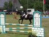 jumper Clay's Way (Oldenburg show jumper, 2005, from Clay)