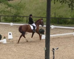 dressage horse Fabelhaft 22 (Rhinelander, 2001, from Fidermark)