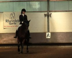 dressage horse Fairbanks 30 (Oldenburg, 2005, from Florencio I)