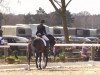 dressage horse Fortuna 424 (Hanoverian, 2009, from Fidertanz)