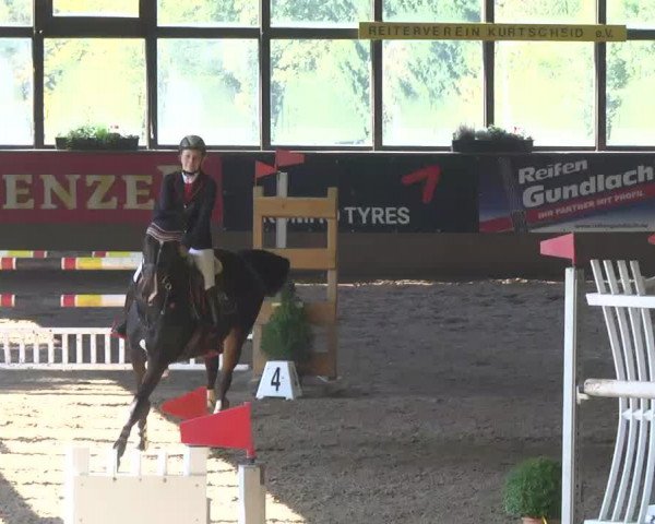jumper Lilli (Hanoverian, 2006, from Lafontaine)