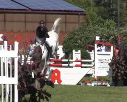 stallion Canturio (Bavarian, 2003, from Canturo)