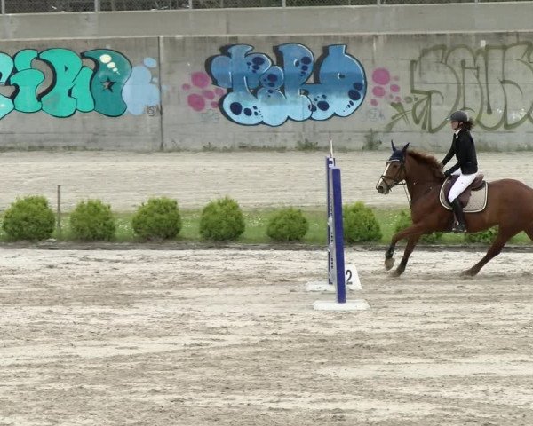 Reitturnier Basel Schänzli 2021