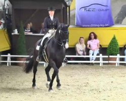 dressage horse Naseweis 21 (Hanoverian, 2002, from Wolkentanz I)